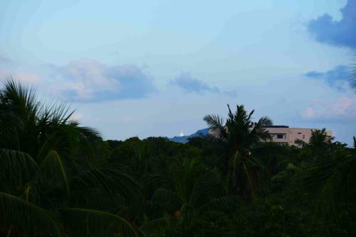 Bed & Breakfast Sacred City Tourist Resort