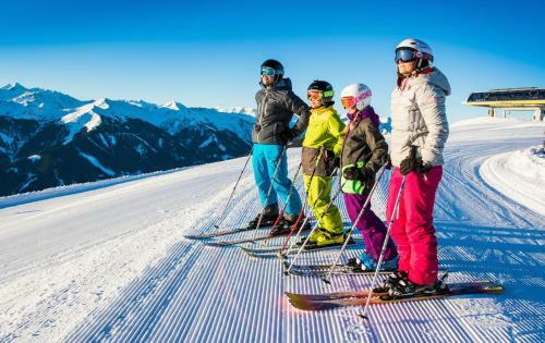 Apartamento Alpen Appartements Viehhofen
