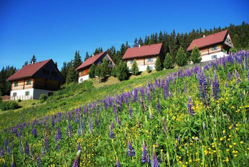 Almh�tten Moselebauer