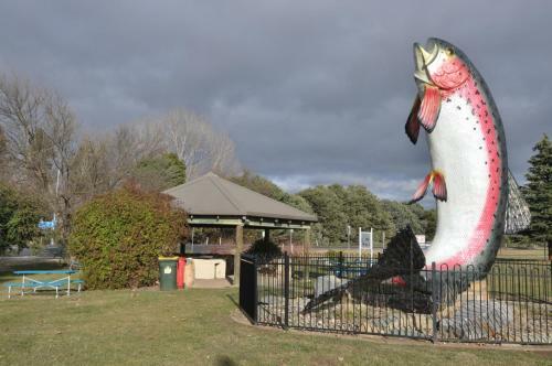 Hotel Selwyn Star Lodge