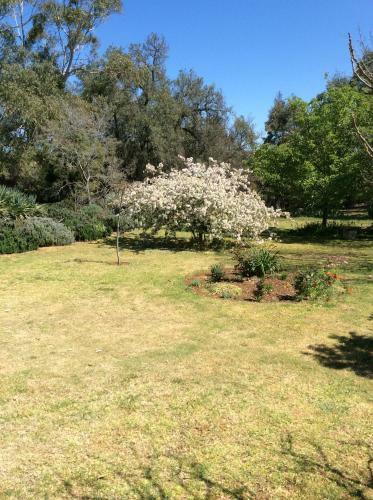 Villa Kit Kat Cottage - Heritage Accommodation Burra