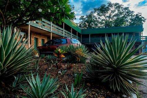 Albergue Palm Court Backpackers