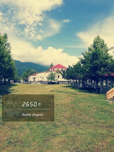 Villa Ruma Zeytun Hotel