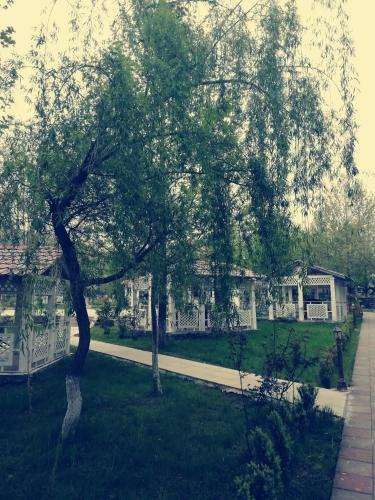 Villa Ruma Zeytun Hotel