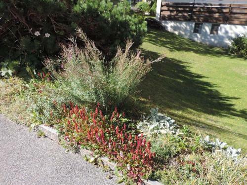 Apartamento Ladina 65 (319 St)