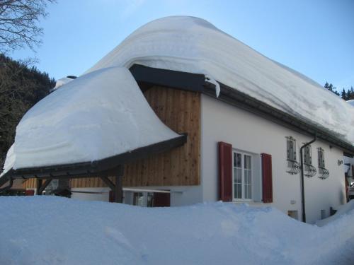 Apartamentos Ferienhaus Ahorn