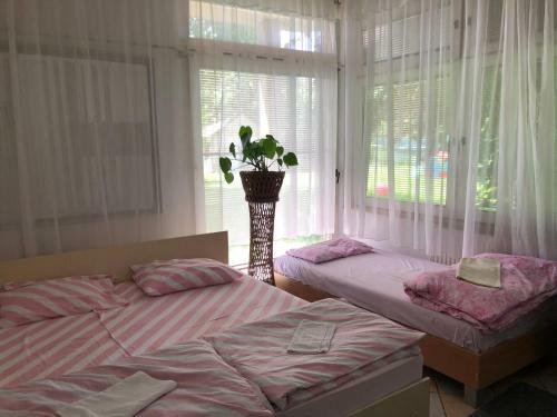 Apartamento Hanja