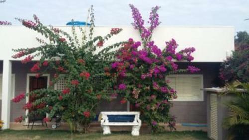 Lodge Recanto Das Termas, Chal�s
