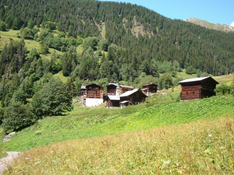 Cozy Chalet In Chrixacher Near Forest