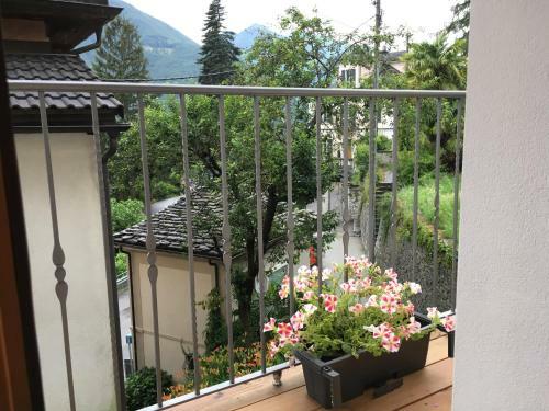 Villa Edera Wild Valley Hostel