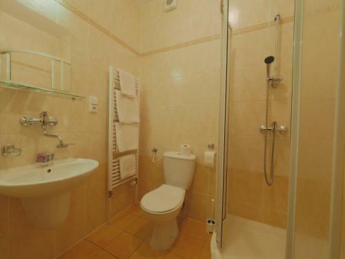 Horsk� Hotel Kop?ivn�