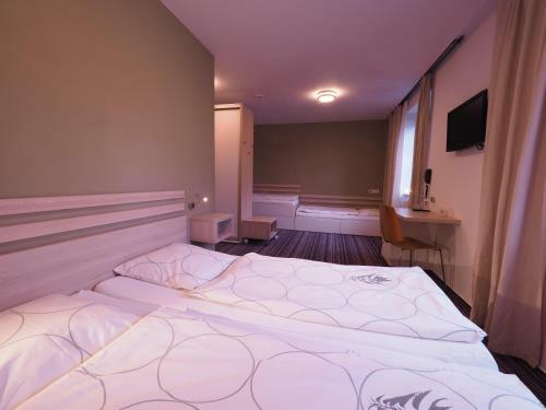 Horsk� Hotel Kop?ivn�