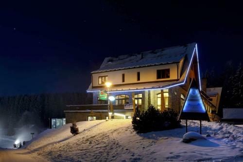Horsk� Hotel Kop?ivn�