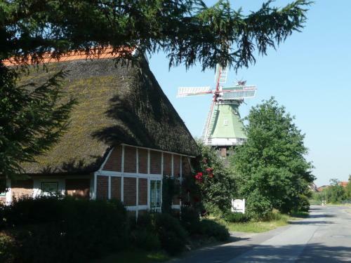 Ferienhaus Scout 60 Im Feriendorf