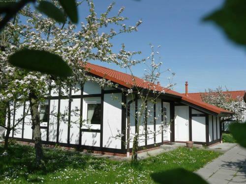 Hotel Ferienhaus Kogge Im Feriendorf Alt