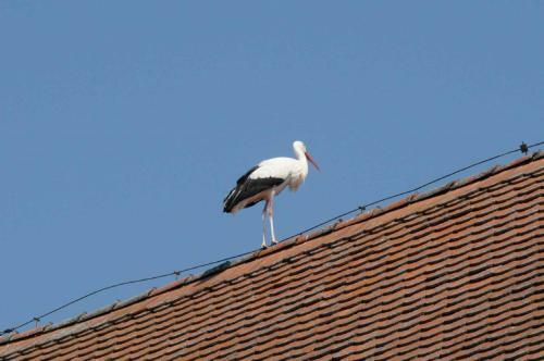 Apartamento Ferienhof Winkler