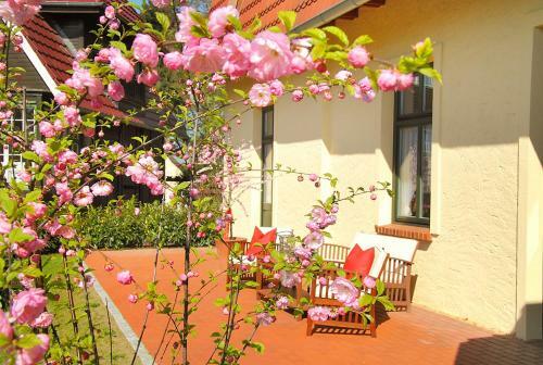 Hostal Hotel Garni Landhausperle An Der M�ritz