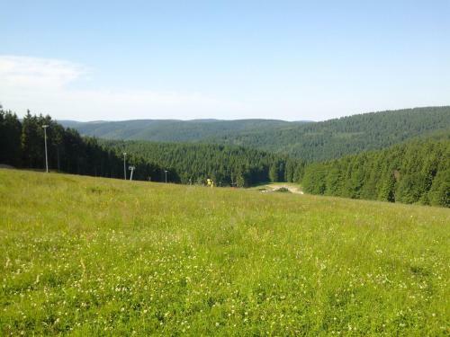 Modern Apartment In Schnett Thuringia Near Ski Area