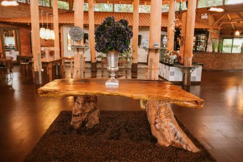 Agroturismo Pousada Fazenda Vir�