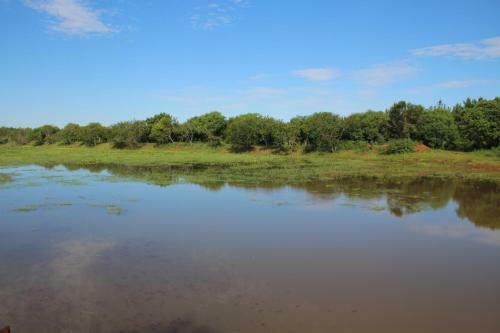 Agroturismo Pousada Do S�tio Preserva
