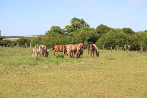 Agroturismo Pousada Do S�tio Preserva