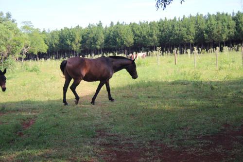 Agroturismo Pousada Do S�tio Preserva