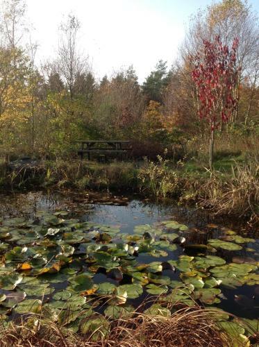 Abildskovhus Feriebolig