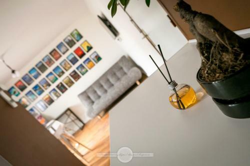 Apartamentos Le Gustave Topdestination-dijon