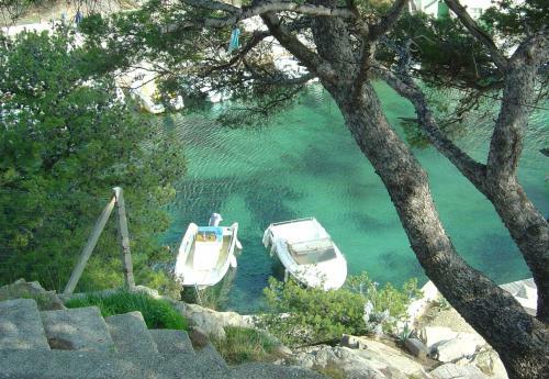 Hostal La Palmeraie Des Calanques