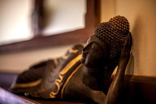 Hotel Sombra E �gua Fresca Spa Floresta