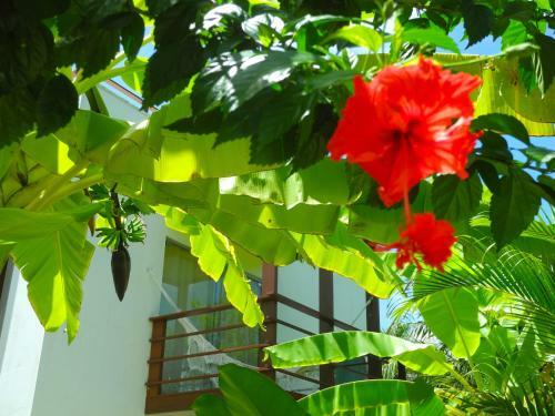 Villa La R�serve Maison
