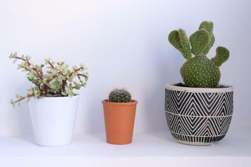 Apartamento La Garde Appartement Priv� Terrasse