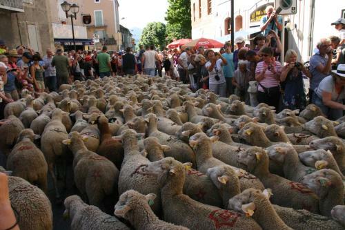 Apartamento Le Mas de Saint- Ferr�ol Nord