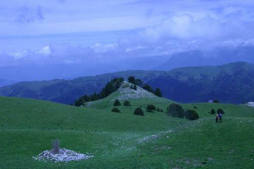 Apartamento Le Mas de Saint-ferr�ol Studio