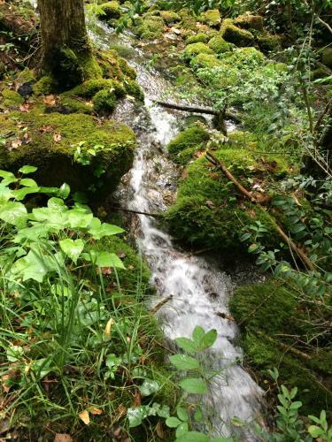 Apartamento Le Mas de Saint-ferr�ol Studio