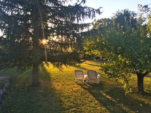 Apartamento Le Mas de Saint-ferr�ol Studio