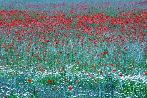 Apartamento Le Mas de Saint-ferr�ol Studio