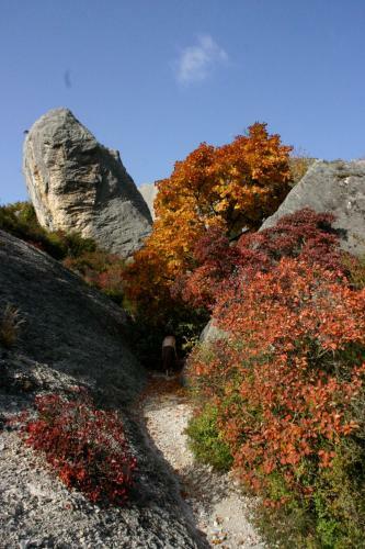 Apartamento Le Mas de Saint-ferr�ol Studio