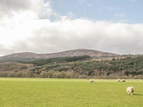 Cosy Cottage, Beauly