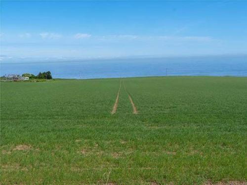 Bridle Cottage, Cockburnspath