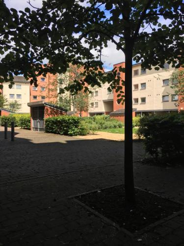 Marine Parade Apartment Dundee