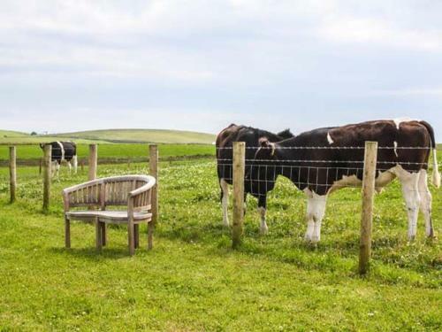 Corsewall Castle Farm Lodges