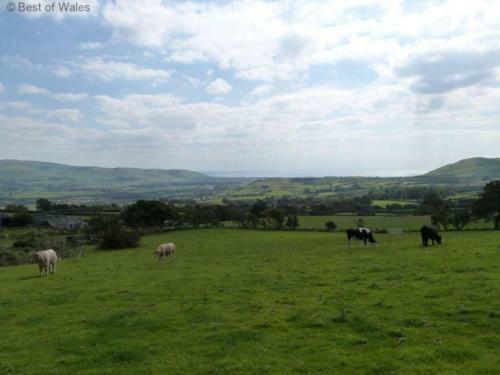 Holiday Home Cow House