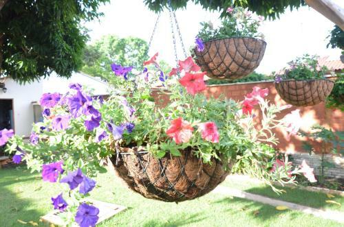 Hostal Pouso, Caf� E Cultura