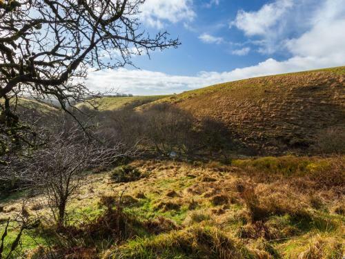 Limecombe