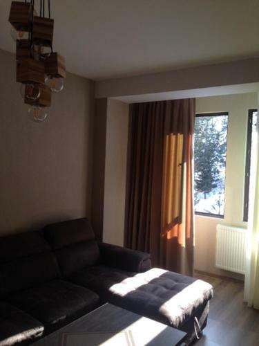 Apartamento Bakuriani Residence 154