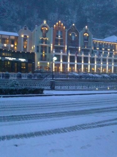 Hostal Guesthouse Borjomi Central Park