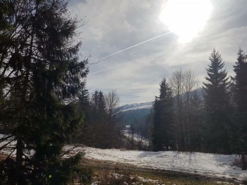 Apartamento Appartment In Bakuriani