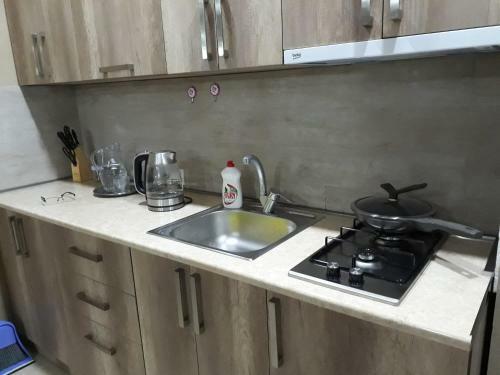 Apartment 135 In Bakuriani Residence