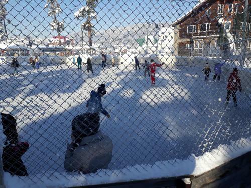 Apartment 135 In Bakuriani Residence